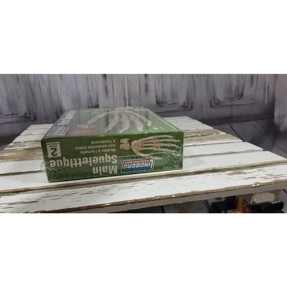 Lindberg Science Kits Skill 2 hand anatomy skeleton Educational Lloyd 71313 bone - Picture 6 of 6